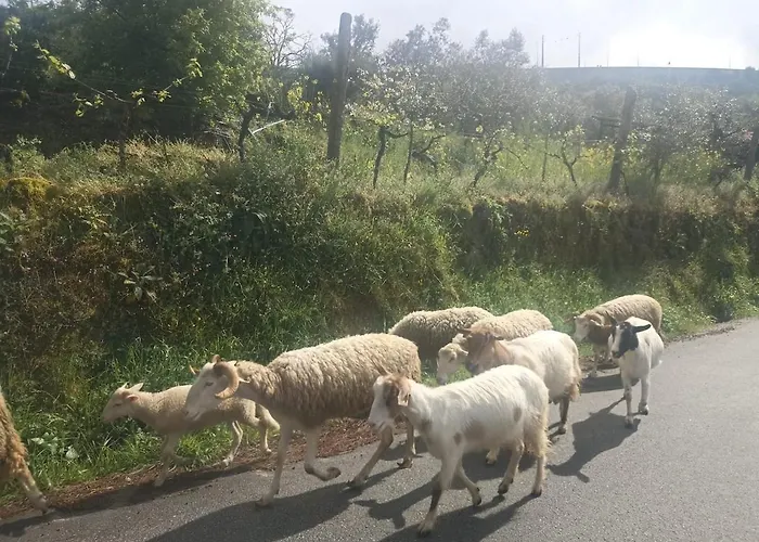 펜션 Casa Do Casal - Nature & Village, Al